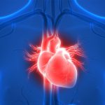 What Is A Calcium Heart Score?